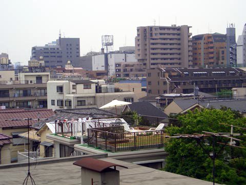 Jardin sur un toit de Tokyo